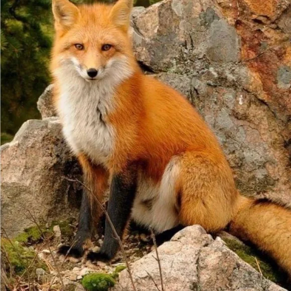 Handmade Jewelry - See My Boutique - Picture 6 of 10